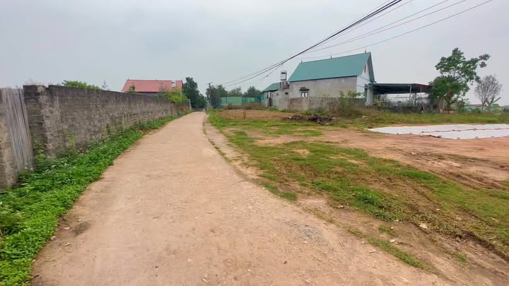 Bán Đất Vườn 300m² Lục Nam - Mặt Tiền Rộng 18m - Sổ Đỏ Chính Chủ