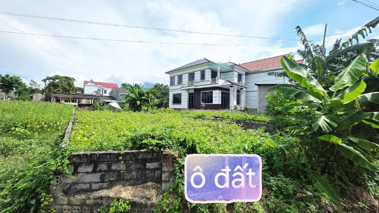 Đất nền 274.8m² Thôn Đồng Ơn Tam Đảo - Sổ đỏ chính chủ, view cánh đồng!