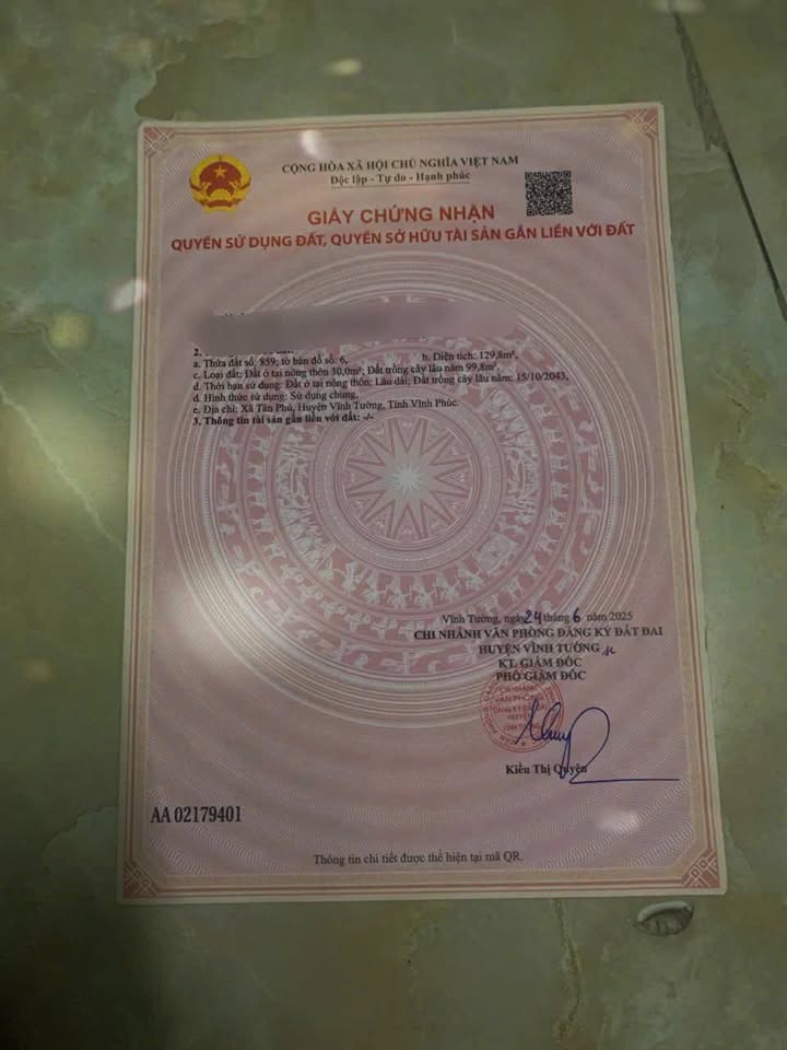 Bán Đất Vĩnh Tường 129m² - Sổ Đỏ Rõ Ràng, Giá Hời