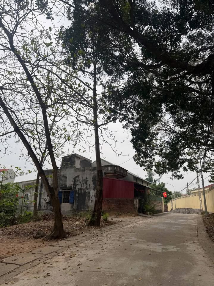 Đất nền Vĩnh Phúc 89.3m² - Đường ô tô, giá chỉ 1.x tỷ