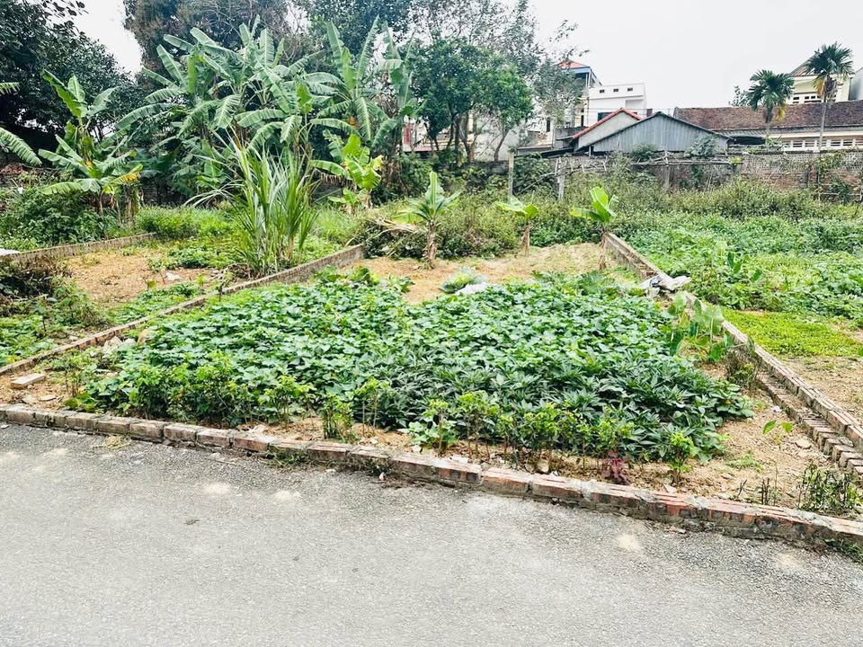 Đất nền Xuân Hòa, Phúc Yên 124m² hơn 2 tỷ - Sổ đỏ chính chủ