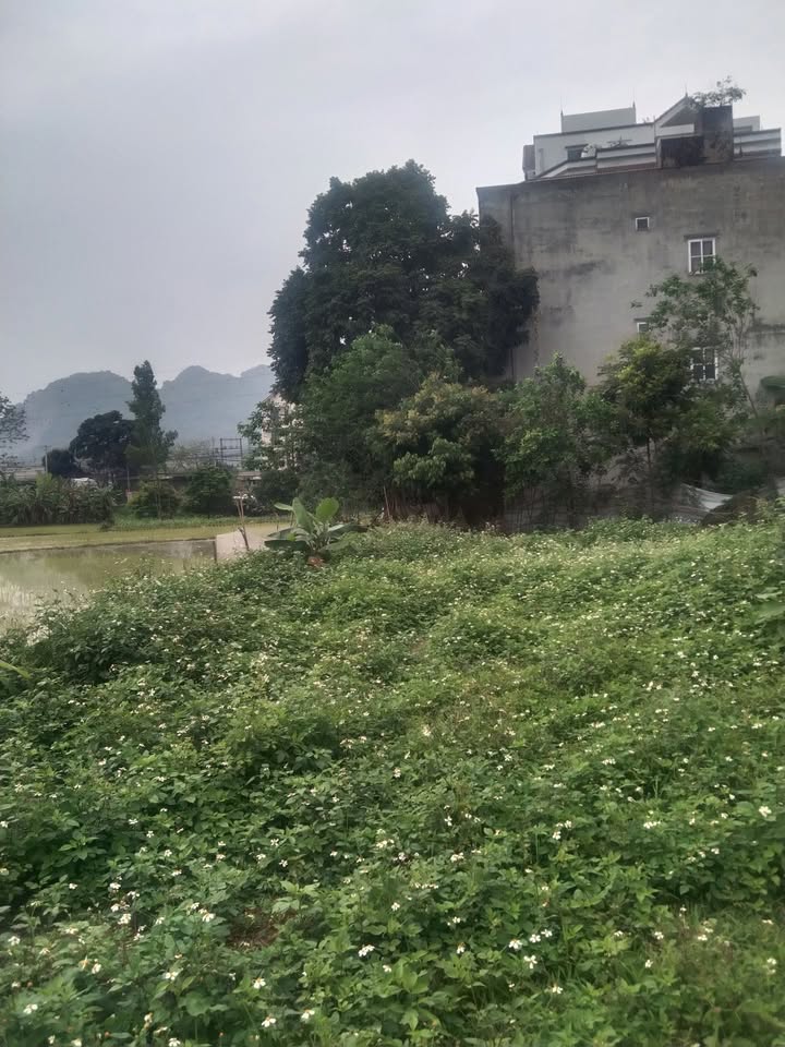 Đất nền hiếm 81.7m² Xuân Mai, Chương Mỹ - Sổ đỏ sẵn sàng giao dịch