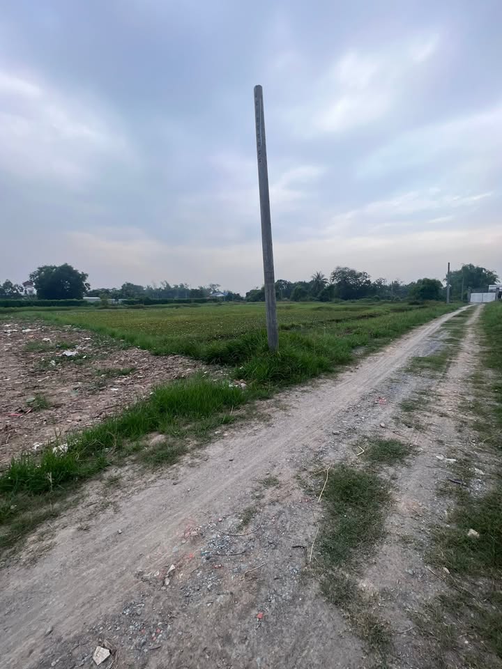 Đất Thổ Cư Sổ Hồng Riêng Đức Hòa Hạ - 150m² Giá 1.05 Tỷ