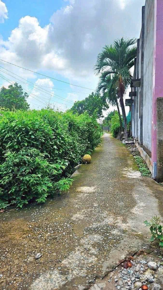 Bán Gấp 2 Lô Đất Thổ Cư 120m² Hẻm Nguyễn Văn Nhâm, Tân An - Giá Đầu Tư 550 Triệu