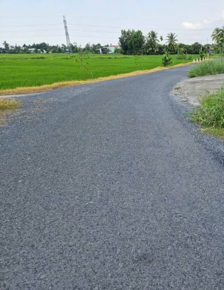 Đất Thổ Cư Mặt Tiền Huỳnh Thị Lung, TP Tân An - 190m² Giá 950 Triệu