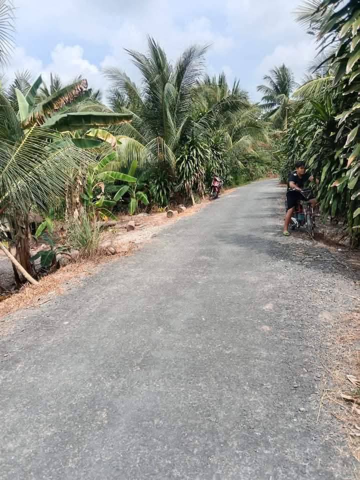 Bán đất nền 110m² mặt tiền nhựa Hòa Lộc, Tam Bình, Vĩnh Long - Sổ đỏ sẵn sàng