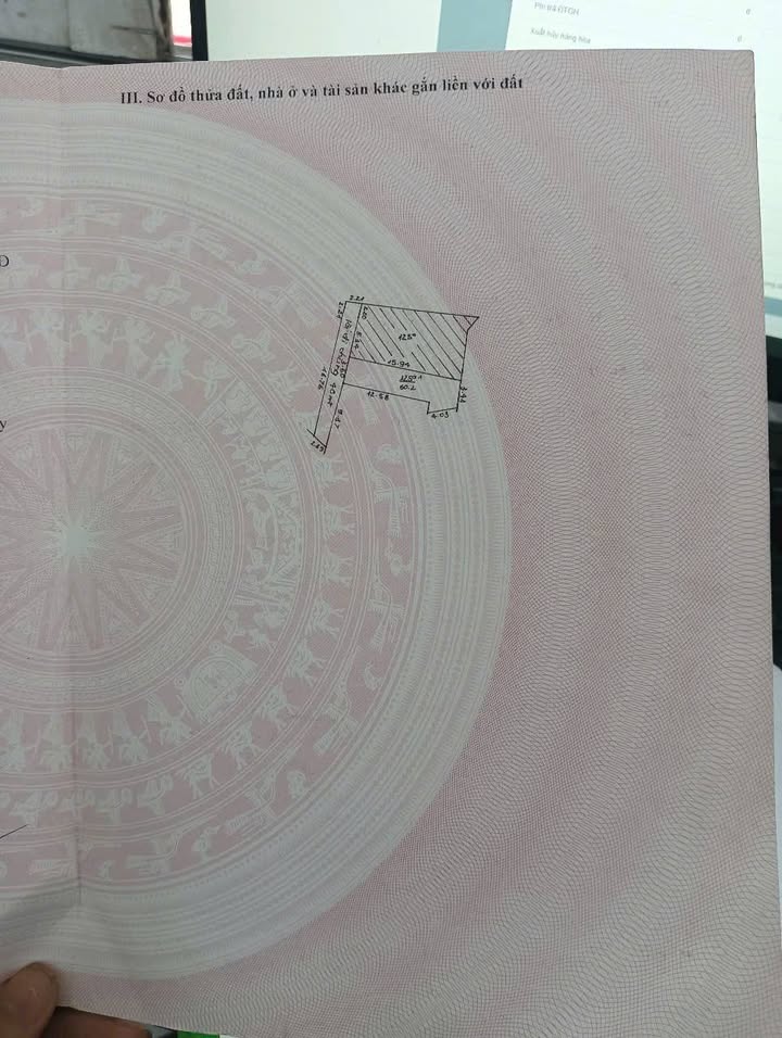 Đất nền Hiền Lương, Sóc Sơn 60m² - Sổ đỏ chính chủ!