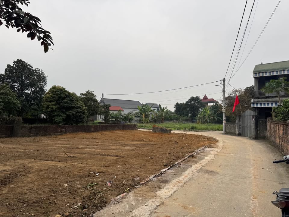 Đất nền Hoà Trúc, Quốc Oai 100m² - Đất thổ cư 100%!