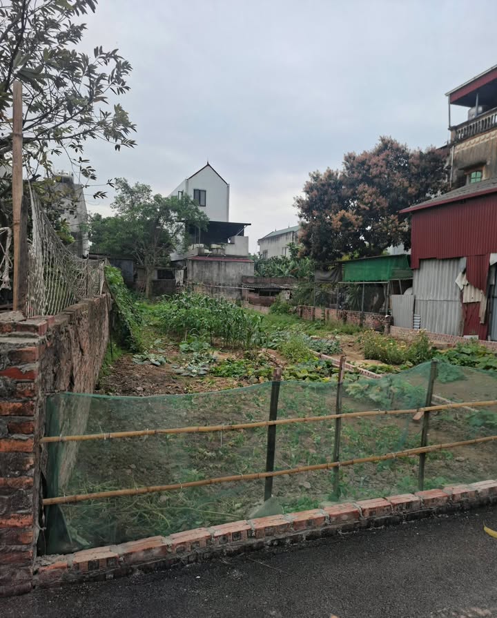 Đất nền Tiên Dược, Sóc Sơn 183m² - Đường to ô tô tránh!