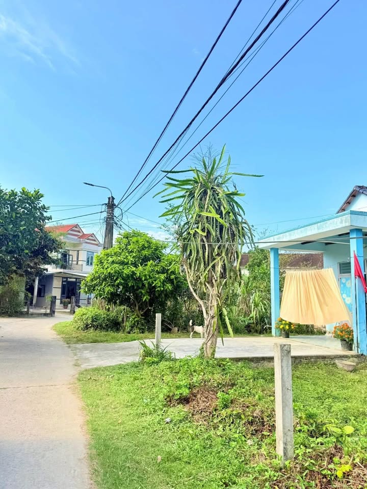 Đất nền Tam Hiệp Núi Thành 120m² - Sổ đỏ chính chủ, tiềm năng vượt trội!