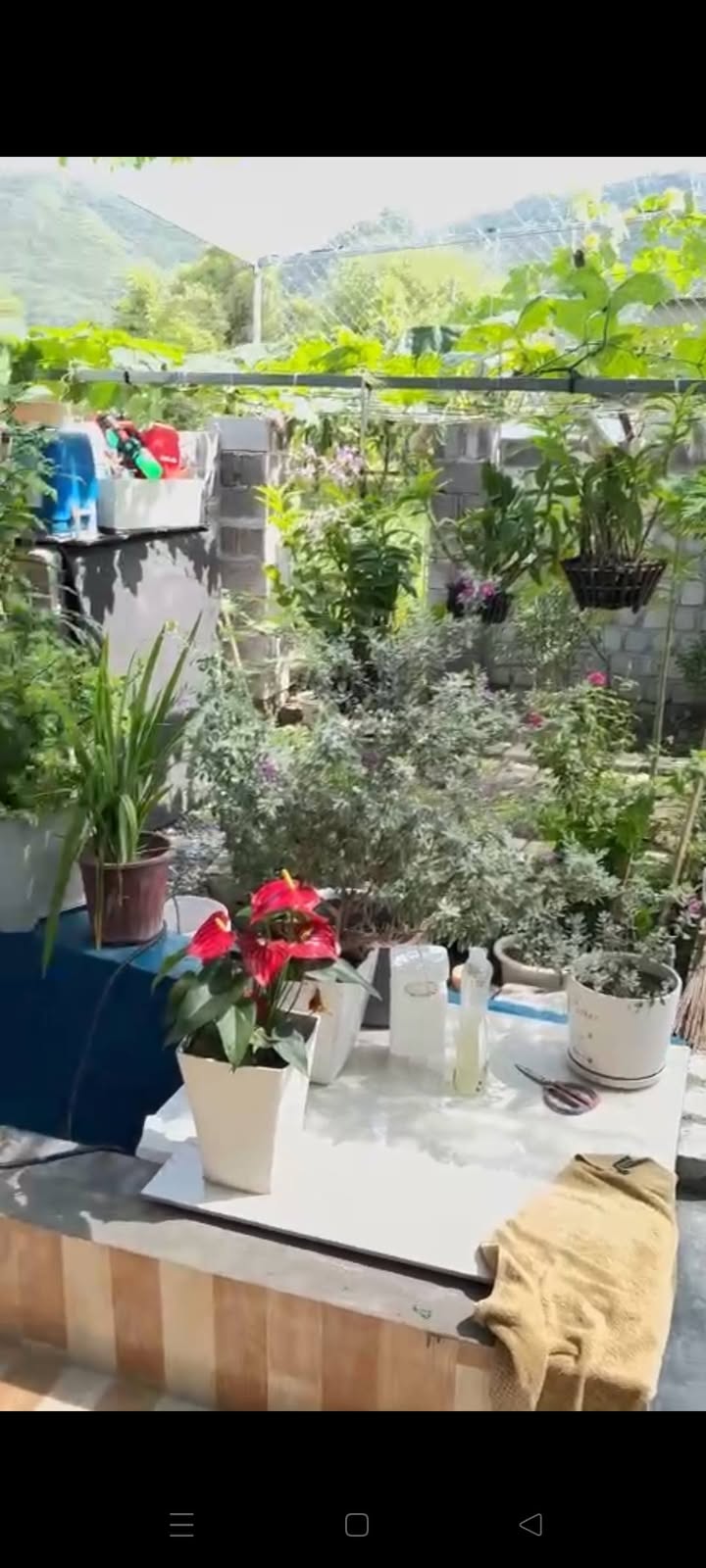 Nhà Nguyên Căn 120m² Phước Đồng, Nha Trang - Sân Vườn, Ô Tô Đậu Trong Nhà