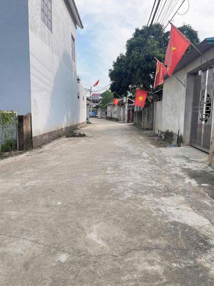 Đất Nền 100m² Phú Cát, Quốc Oai - Sổ Đỏ Chính Chủ, Giá Đầu Tư F0