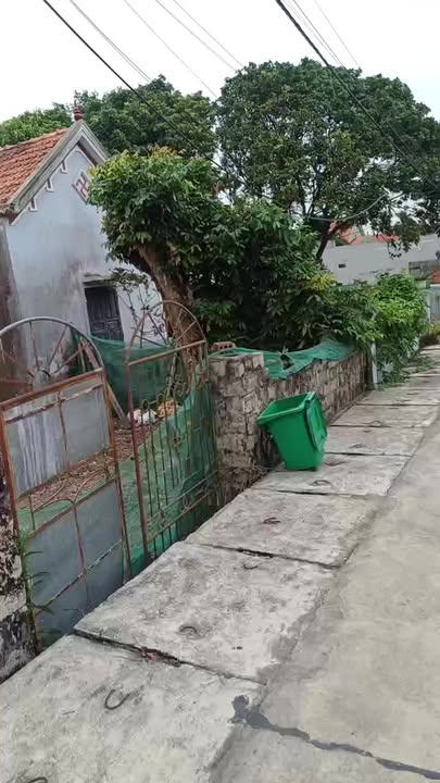 Đất Nền QL1A Hoàng Mai 350m² - Sẵn Nhà, Giá Chỉ 1.2 Tỷ