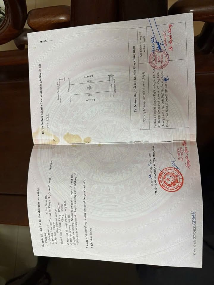 Đất nền An Đồng, Hải Phòng 100m² - Vị trí kinh doanh đắc địa