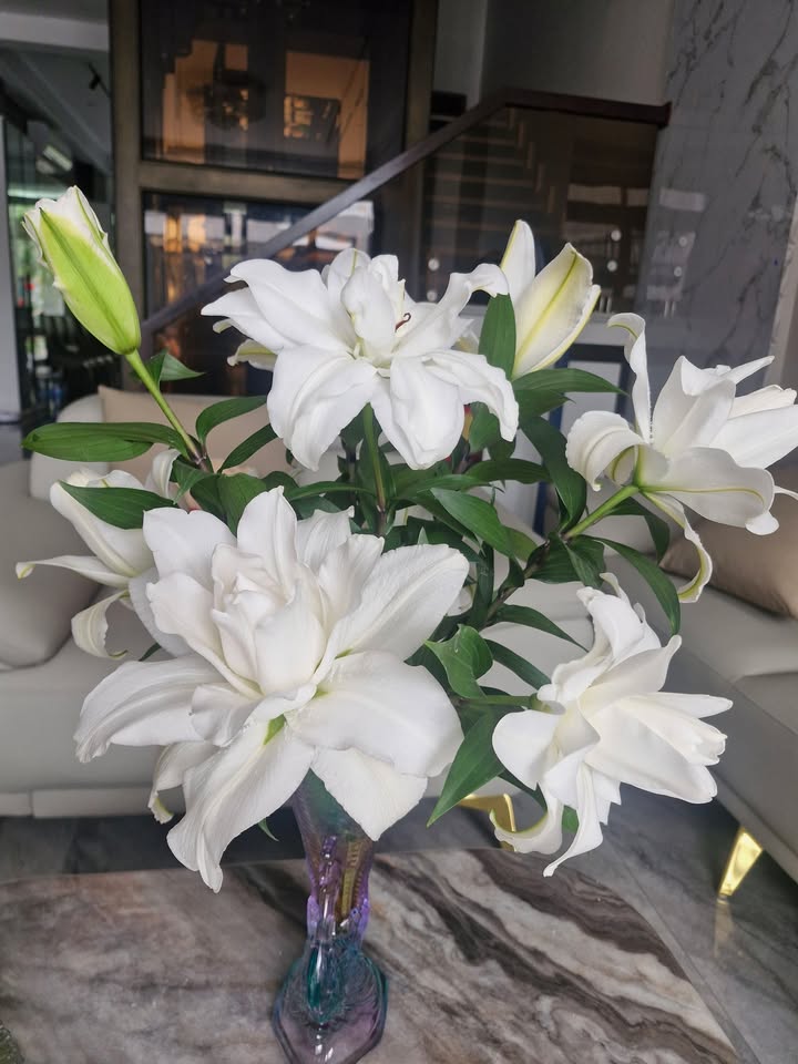 Nhà Phố Lê Chân 50m² 4 Tầng - Ngay Trần Nguyên Hãn - 3.7 Tỷ