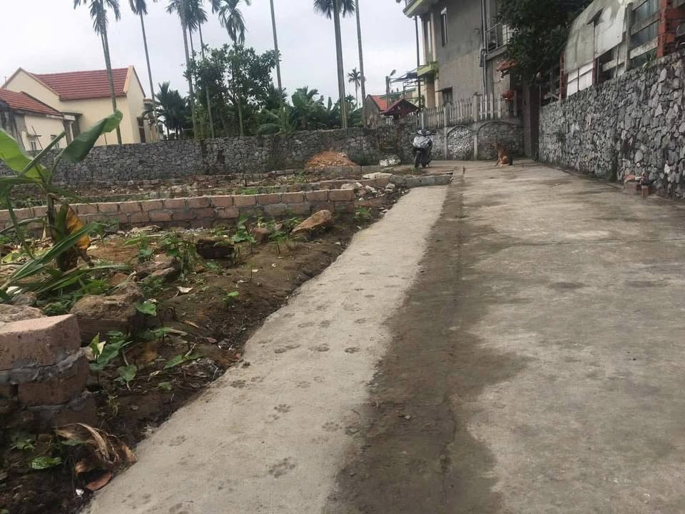 Đất Nền Thủy Nguyên, Hải Phòng - 119.5m² - Sổ Đỏ Sẵn Sàng