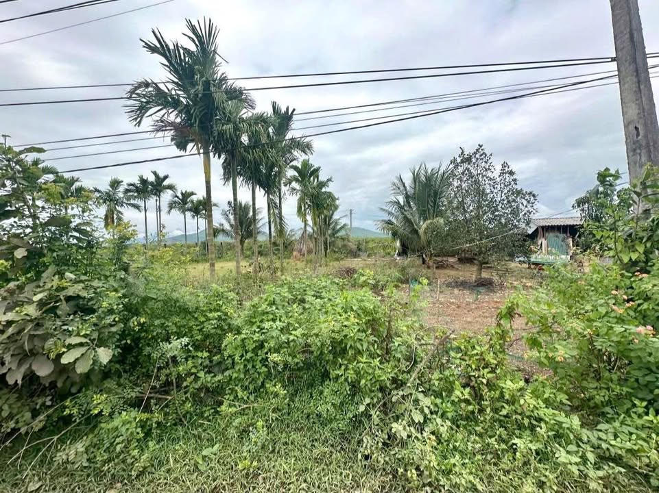 Đất nền Mặt Tiền Ba Gia An Điềm, Quảng Ngãi - Sổ đỏ sẵn, hơn 600 triệu