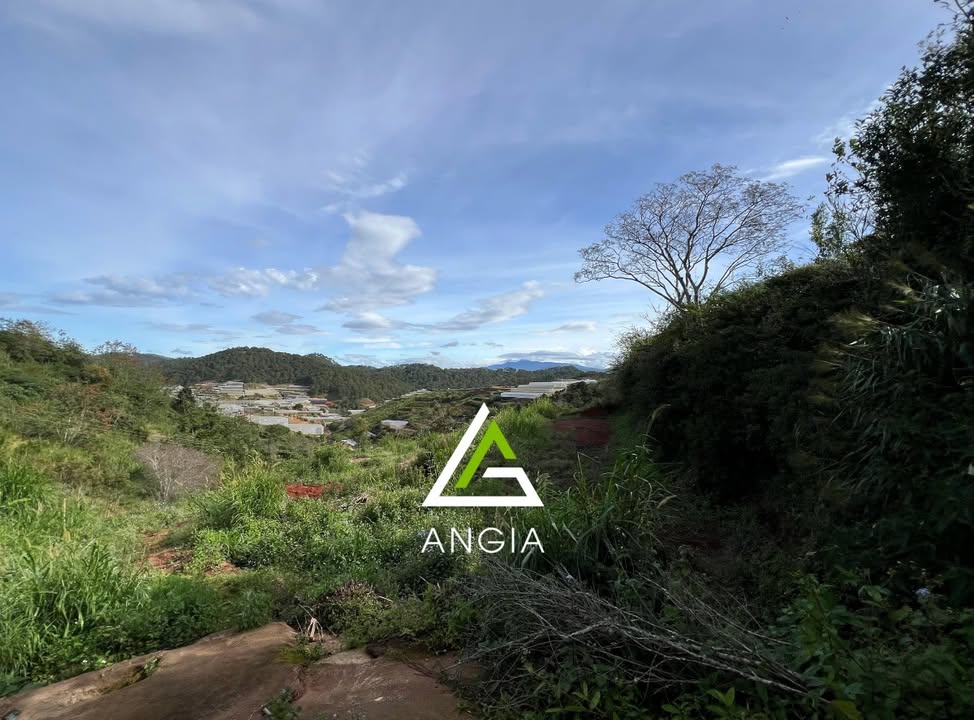 Đất Nông nghiệp Đa Lộc - Xuân Thọ, Đà Lạt 3,871m² - Nghỉ dưỡng lý tưởng!