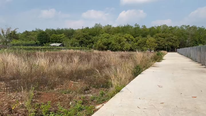 Đất nền Tân Tiến 1080m² - Sổ đỏ chính chủ, đường bê tông!