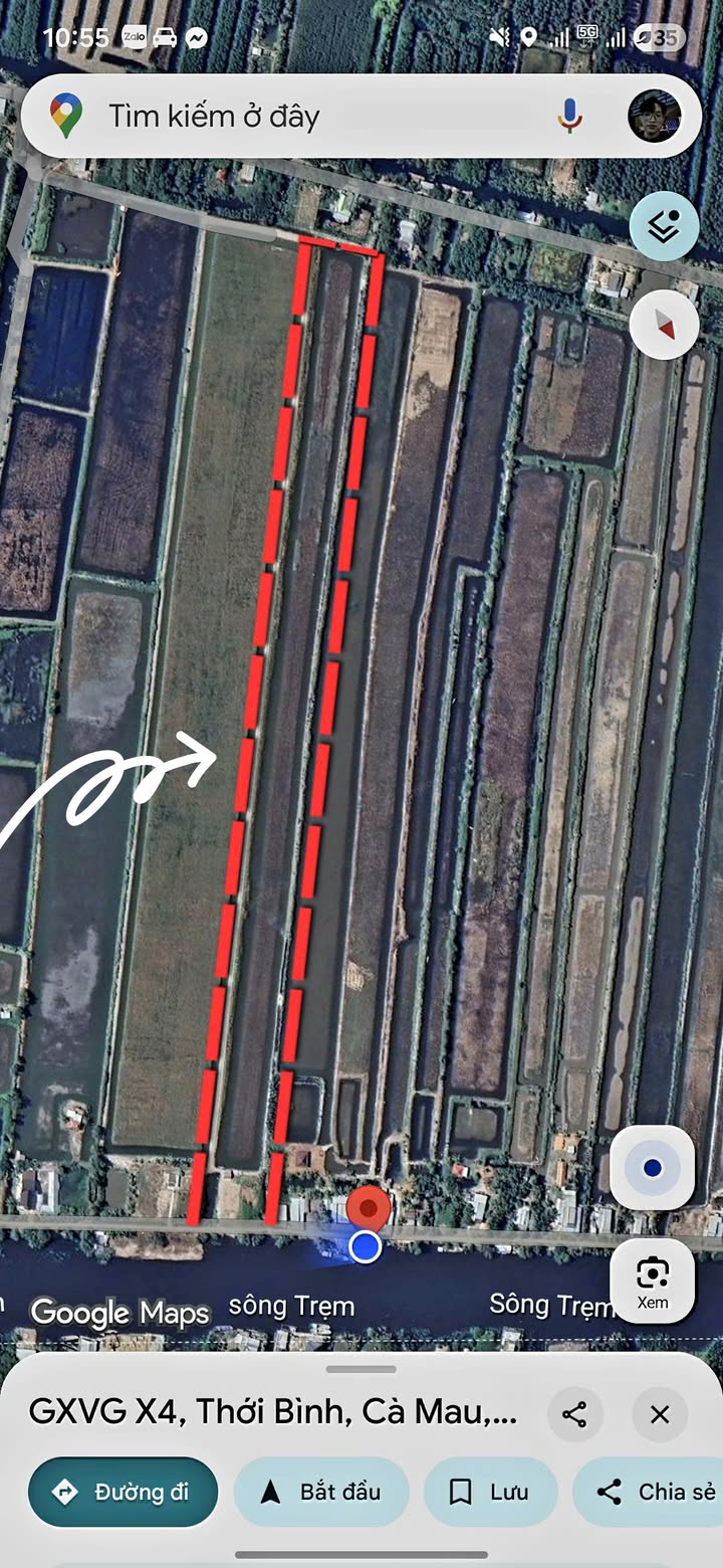 Đất Vườn Cà Mau 16.000m² - Sẵn Sàng Nuôi Tôm, Trồng Lúa