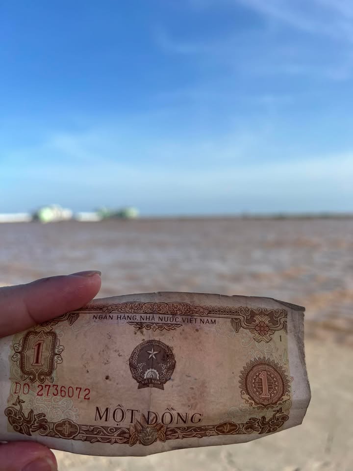 Bán Đất Vàng Phường 3 Bạc Liêu - 471.6m² Kinh Doanh Đa Ngành - 3 Tỷ