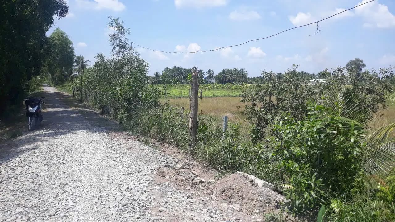 Đất nền Long An 2507m² giá 1.75 tỷ - Xe hơi chạy tới đất!