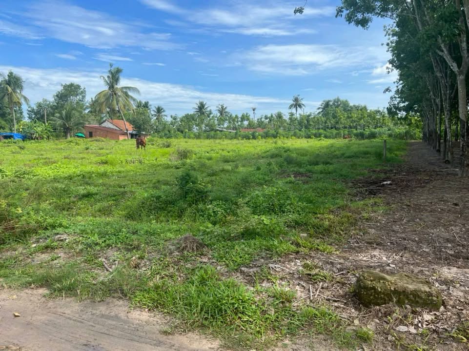 Bán Đất An Cơ Châu Thành 145m² Full Thổ Cư - Giá 170 Triệu