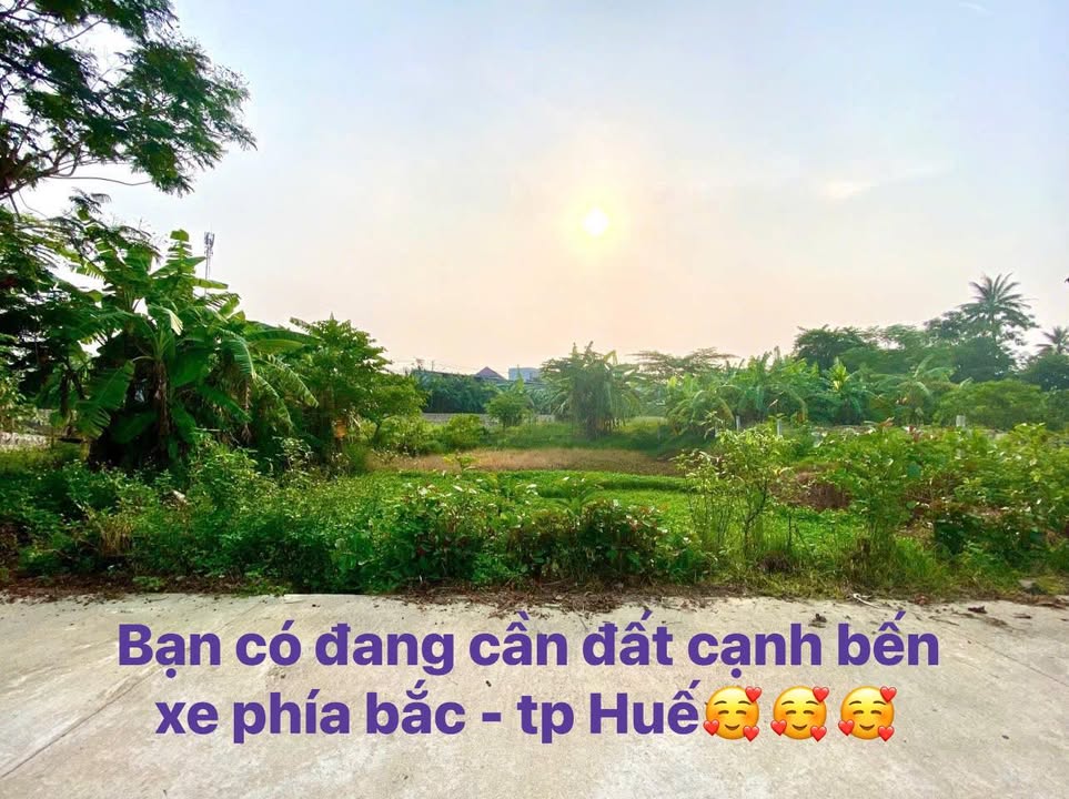 Đất nền Lý Thái Tổ, Huế 264m² - Tiềm năng tăng giá vượt trội!