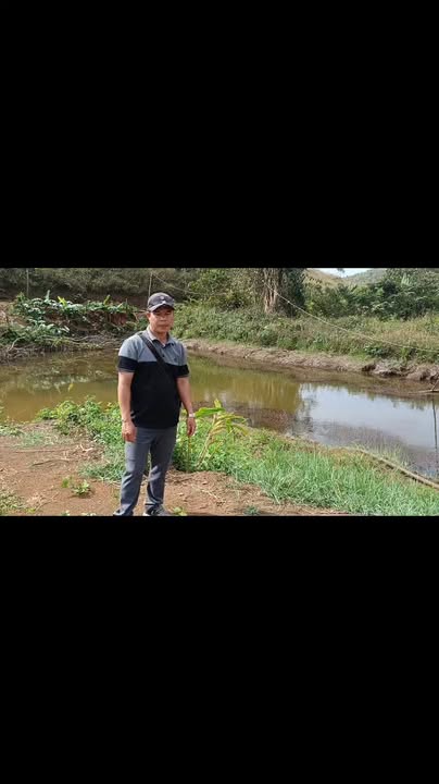 Bán Đất Nông Nghiệp 18.000m² Đắk Nông - Sổ Hồng Riêng, Giá Tốt