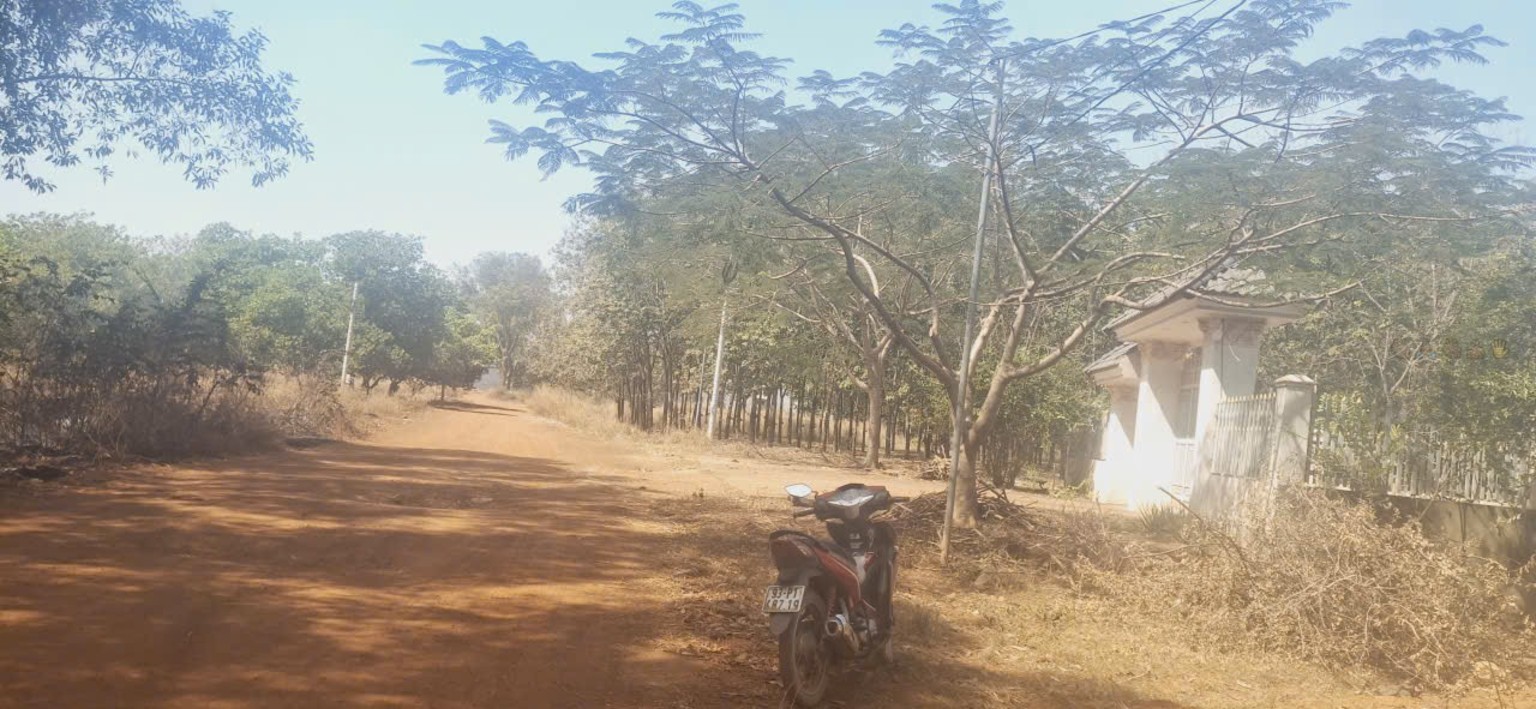 Bán Đất Vườn 10.000m² Đồng Xoài - Giá 2.2 Tỷ - Tiềm Năng Sinh Lời Cao