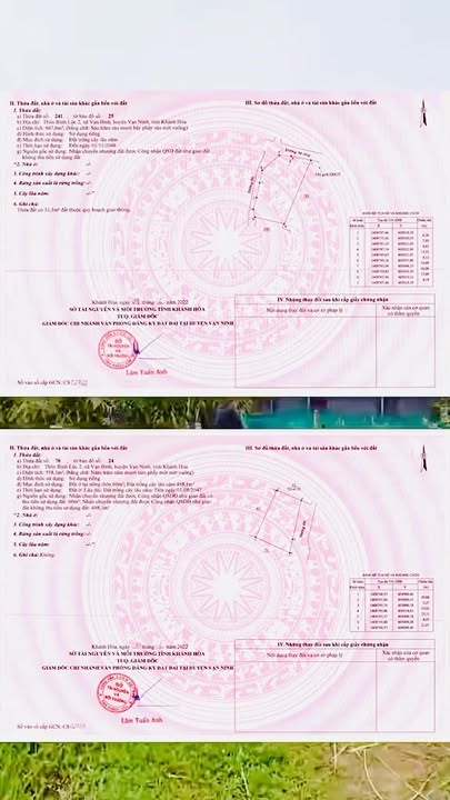 Đất nền Xã Vạn Thắng, Vạn Ninh 1226m² giá 3.2 tỷ - Giá F0 Chính Chủ!