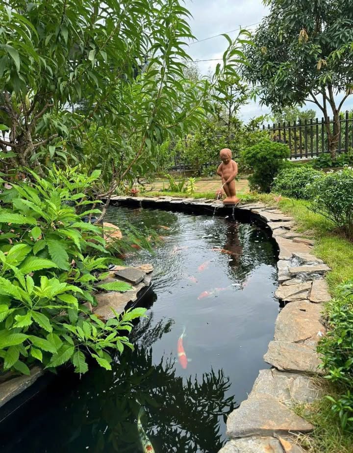 Nhà Vườn Nguyễn Văn Cừ, Tuy Hòa 400m² - An Nhiên Nghỉ Dưỡng