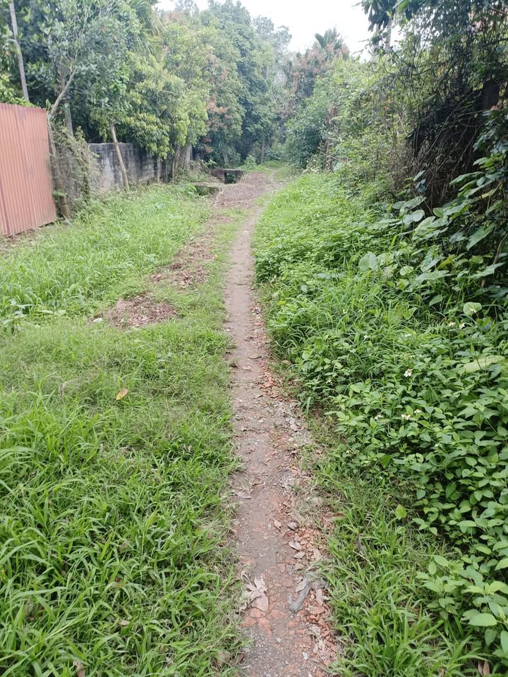 Đất vườn Đại Hưng, Mỹ Đức 10800m² - Sổ đỏ, tiềm năng tăng giá