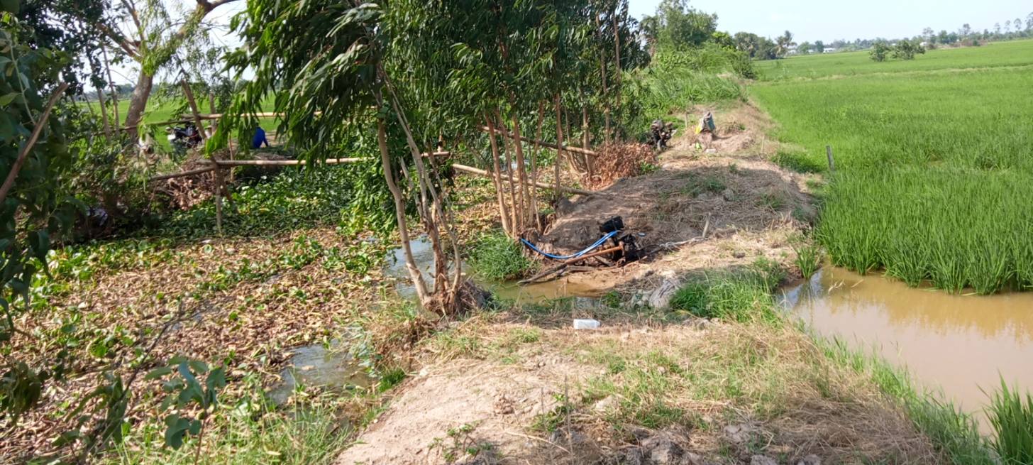 Bán Đất Lúa 7500m² Mặt Tiền Kênh - Châu Thành, Trà Vinh - Giá Tốt