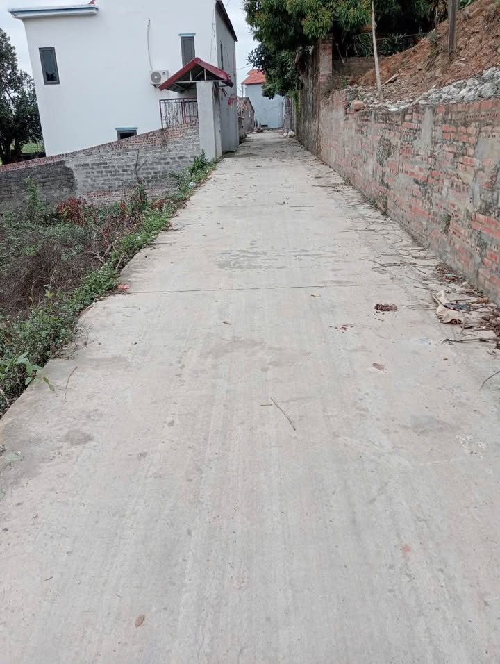 Đất nền Yên Sơn, Lục Nam 100m² - Sổ đỏ chính chủ, giá chỉ 3xx triệu!