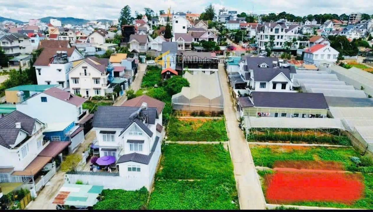 Đất nền Đường Vạn Hạnh P8 Đà Lạt 359m² - Sổ đỏ chính chủ!