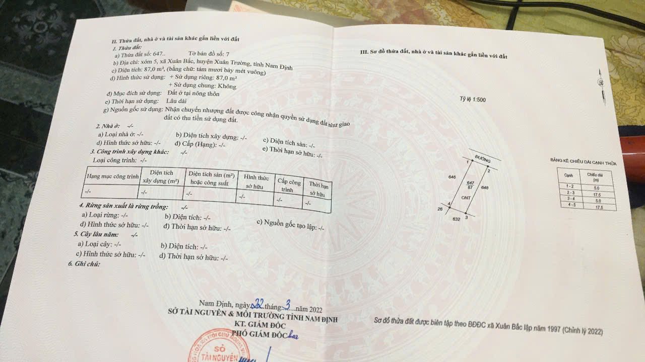 Đất nền 87m² Xuân Trường, Nam Định - Sổ đỏ sẵn sàng, giá 1.1 tỷ