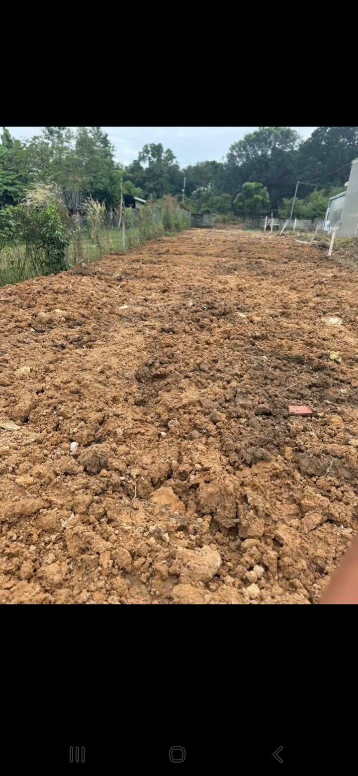 Bán gấp đất 376m² Phường Hòa Lợi, Bến Cát - Nở hậu 9m, Giá 1 tỷ