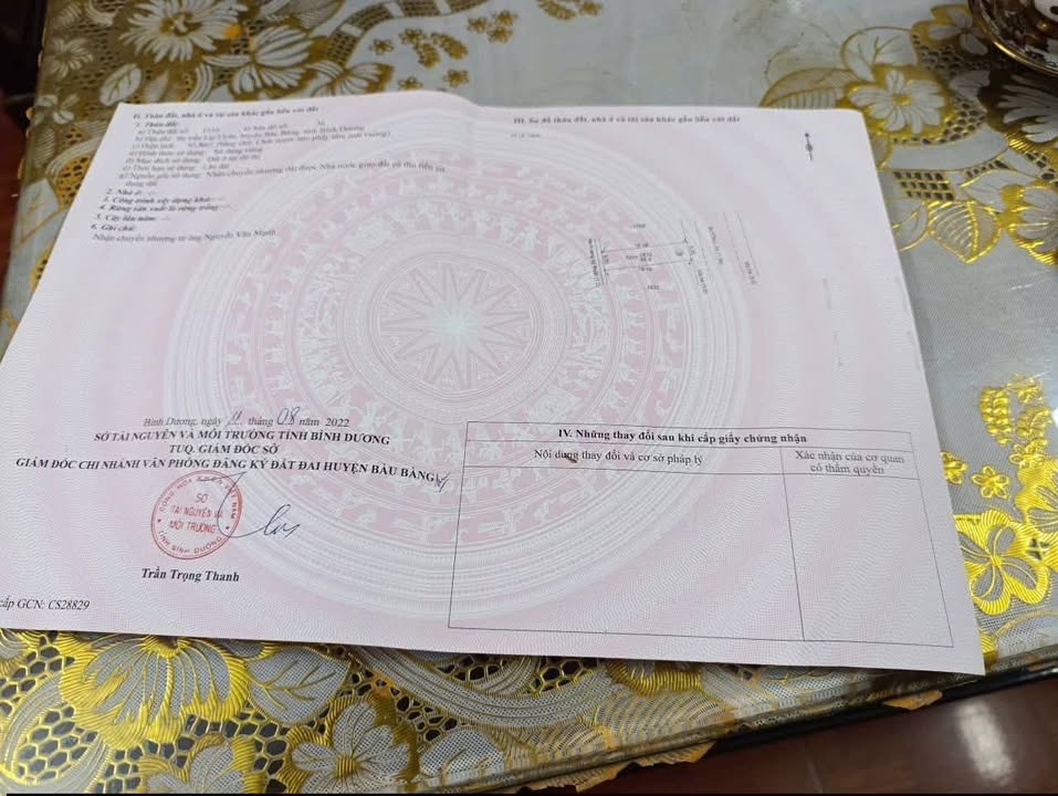 Đất Nền Nam An, Bàu Bàng 100m² - Giá Ngộp 800 Triệu, Chốt Nhanh