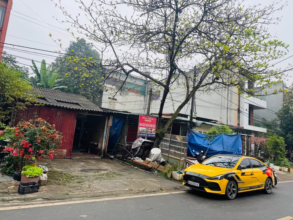 Bán Đất Vàng 453m² Mặt Tiền Rộng, Nam Cường, Lào Cai - Giá 6 Tỷ