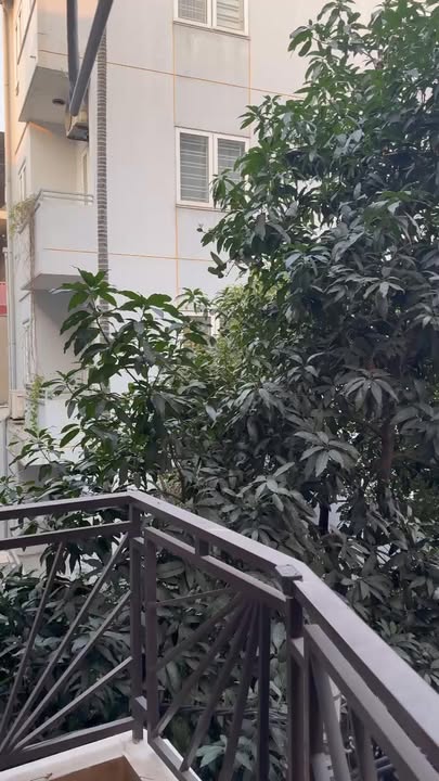 Căn hộ Hào Nam 45m² 8 triệu - Full nội thất cao cấp!