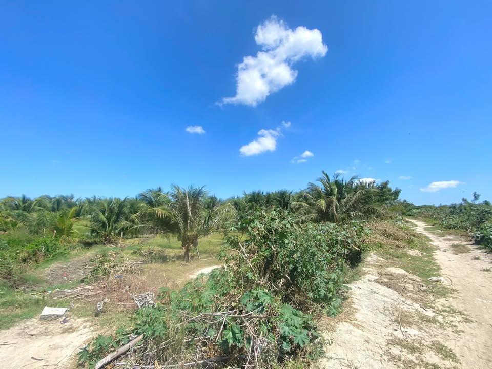 Bán Gấp 9100m² Đất Vườn An Thạnh, Vạn Ninh - Sổ Đỏ, Sẵn Sàng Đầu Tư