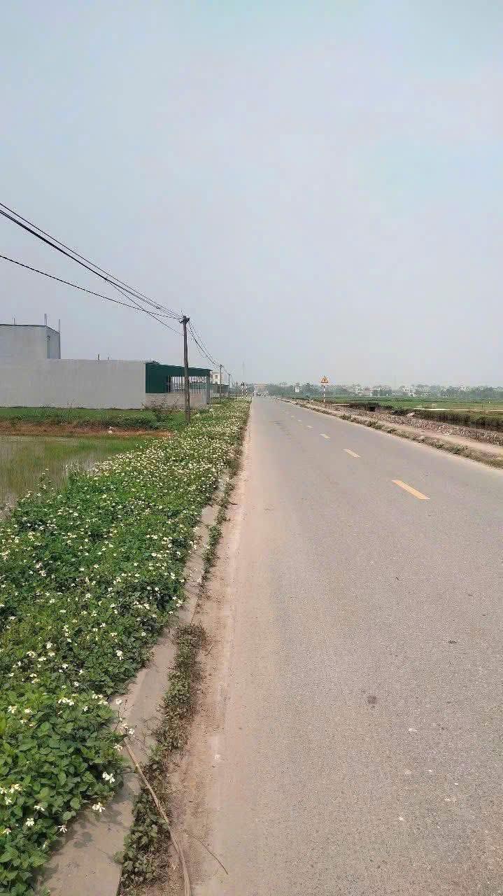 Đất nền Tiền Hải 100m² giá 1.8 tỷ - Tiềm năng tăng giá vượt trội!