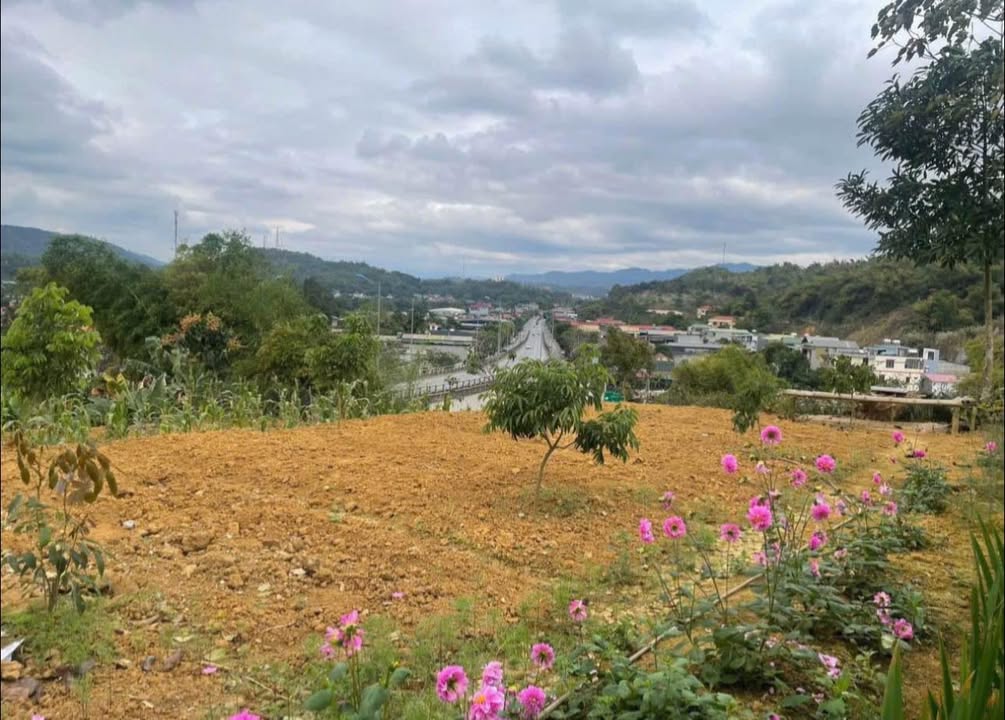 Trang trại Thôn Nhớn Cam Đường 1088m² - Nghỉ dưỡng lý tưởng!