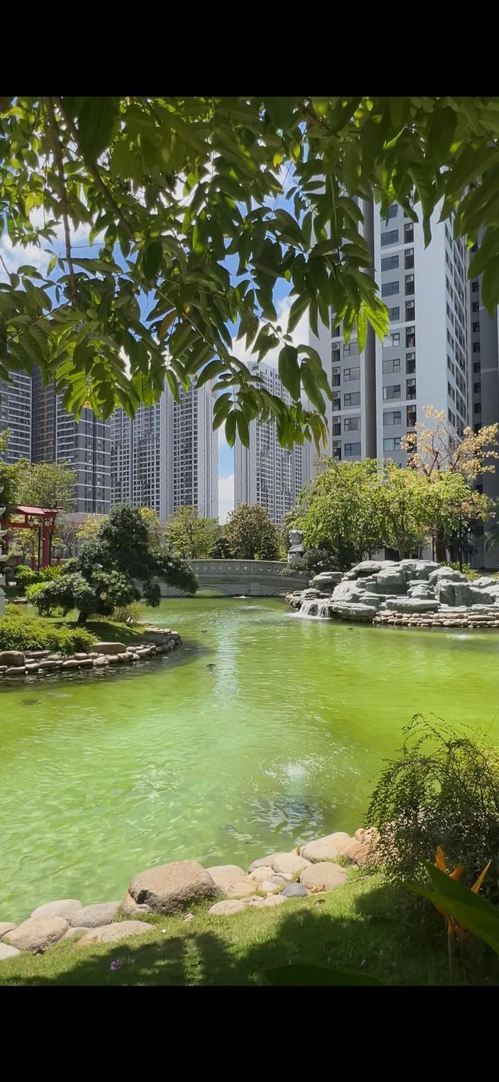 Cho thuê Shophouse Vinhomes Grand Park - Kinh doanh đắc lợi