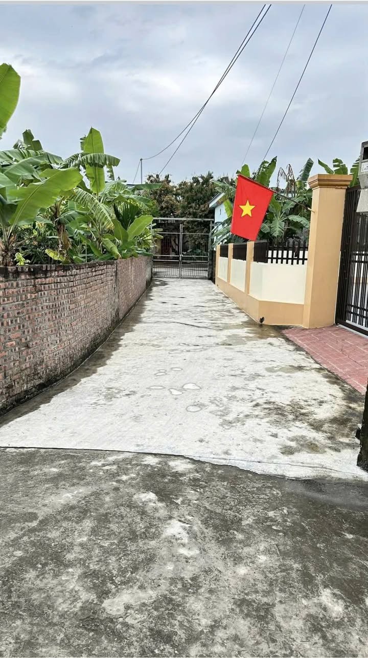 Đất Chí Minh, Tứ Kỳ 103m² - Tặng nhà, ô tô vào tận nơi!