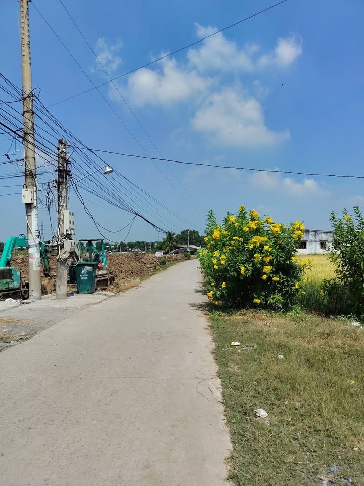 Bán Gấp Đất Vườn 731m² Bến Lức, Long An - Sổ Hồng Riêng, Giá Tốt