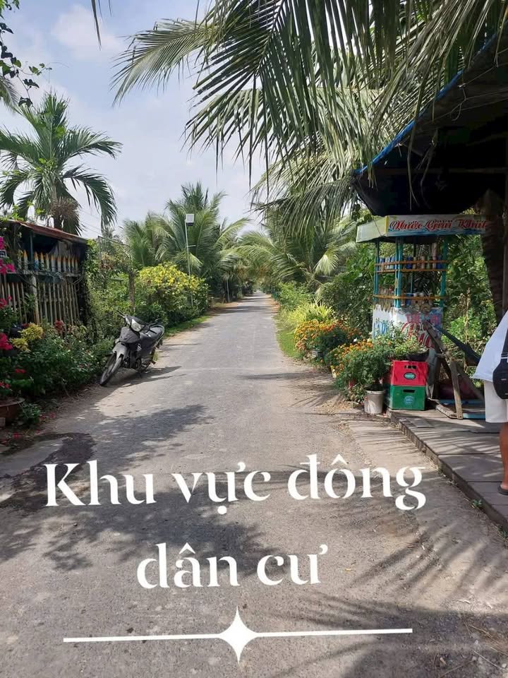 Đất nền Tân Lộc, Tam Bình 138m² - Tiềm năng tăng giá vượt trội!