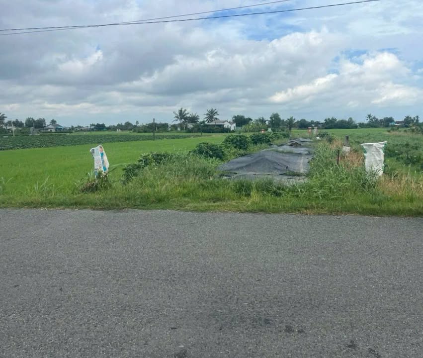 Mặt Tiền Kinh Doanh Hương Lộ Đình, Long An - 6x38m, 1.39 Tỷ TL