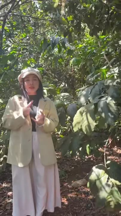 Farm 2.9ha Đak Song - Sổ đỏ, Thu nhập Khủng Từ Cà Phê, Macca, Sầu Riêng